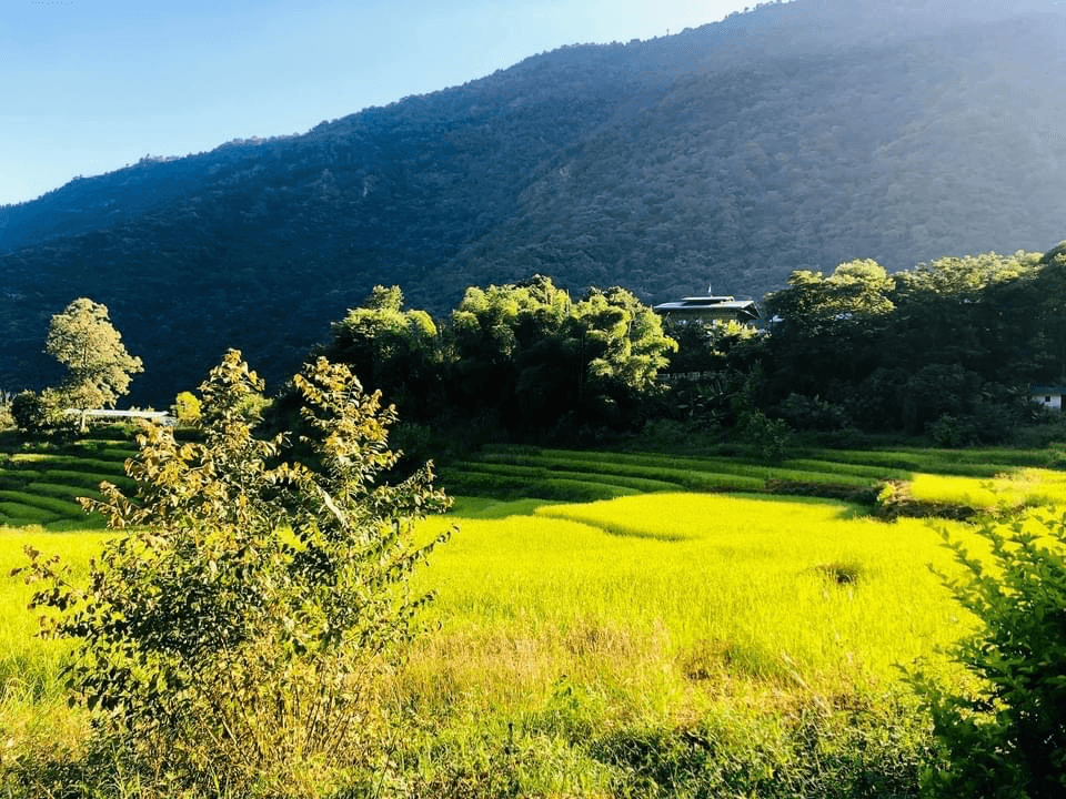 Lingkhar Lodge Bhutan